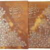 Ghazaliyat von Shams-e Tabrizi (Farsi-Ausgabe mit Miniaturmalerei)