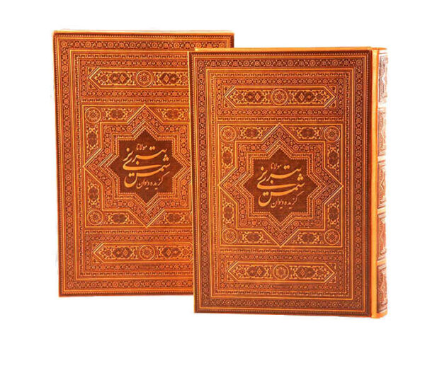 Divan von Rumi: Ausgewählte Gedichte (Zweisprachig Persisch & Englisch)