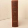 Shahnameh von Ferdowsi (Farsi, Hardcover mit dekorativem Rahmen)