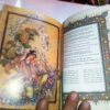 Der Divan von Hafez Shirazi Buch (Englisch & Persisch)