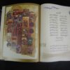 Die Ghazaliyat von Hafez Shirazi Buch mit Kalligrafie Gemälde (Farsi)