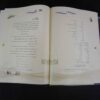 Die Ghazaliyat von Hafez Shirazi Buch mit Kalligrafie Gemälde (Farsi)