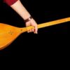 Persisches Dutar-Instrument von Meister Akbari, Hochwertig