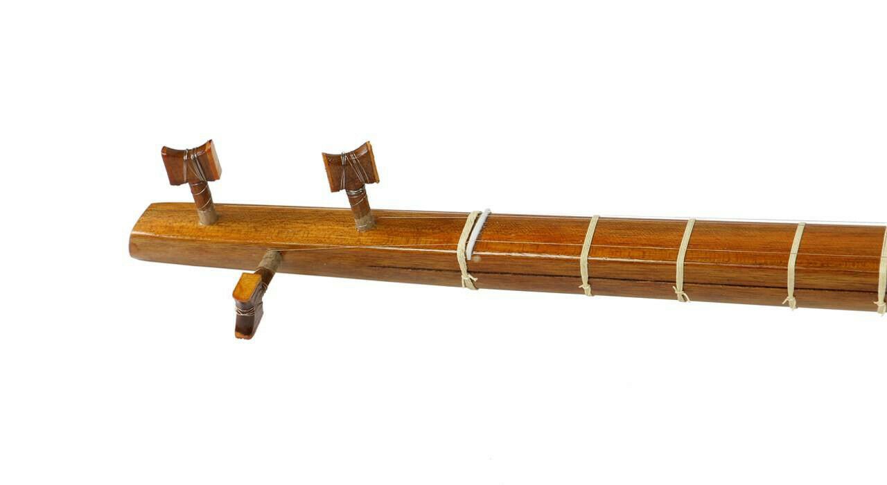 Persisches Tanbur Instrument von Akbari, Economy Modell