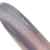 Mezrab-Pick für persischen Tar Modell Horn (2x)