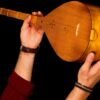Persisches Dutar-Instrument von Meister Akbari, Hochwertig
