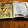 Shahnameh be Nasr von Ferdowsi mit Miniaturmalereien
