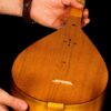 Persisches Dutar-Instrument von Meister Akbari, Hochwertig