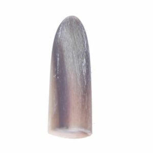 Mezrab-Pick für persischen Tar Modell Horn (2x)