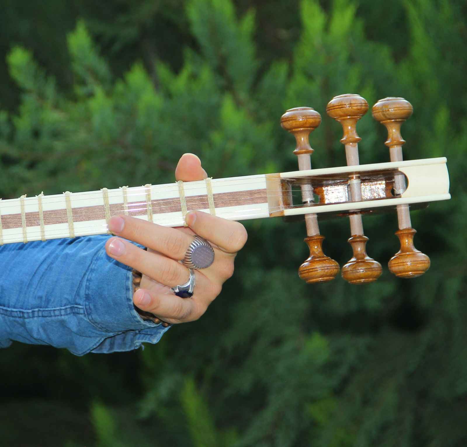 Persisches Tar Saiteninstrument – Handgefertigt von IranSaz, Modell H700