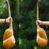 Persisches Tar Saiteninstrument – Handgefertigt von IranSaz, Modell Firoozeh