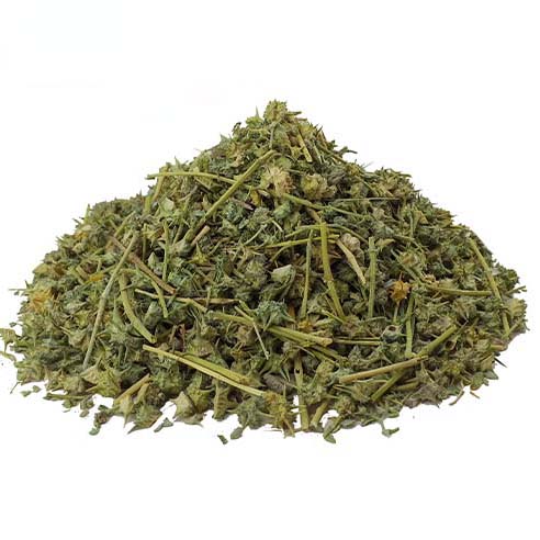 Getrocknetes Bindii-Kraut (Tribulus terrestris) – 600 g hochwertiges Energie- und Vitalitätskraut