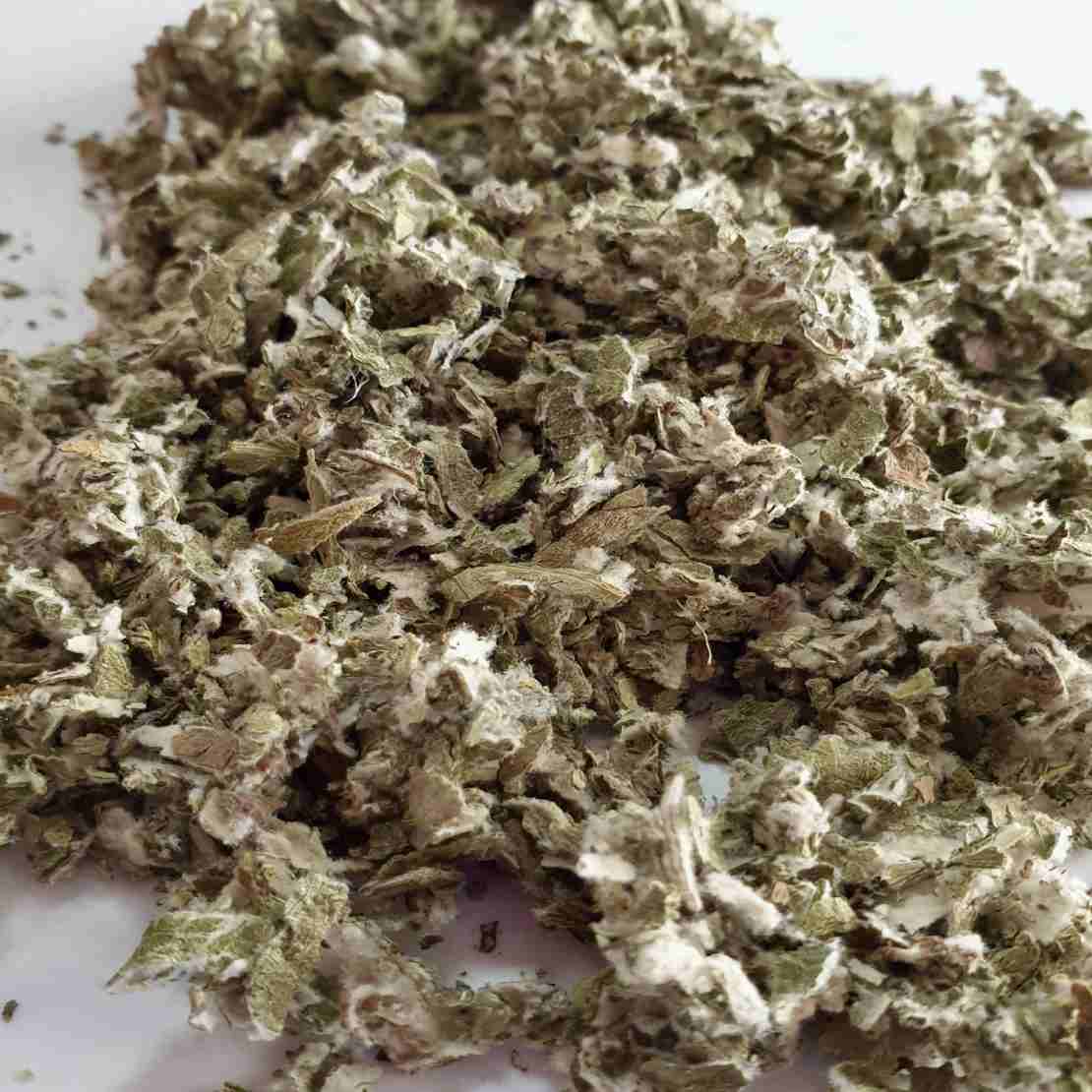 Getrocknetes Huflattichkraut (Tussilago farfara) – 600 g hochwertiges Kraut zur Unterstützung der Atemwege