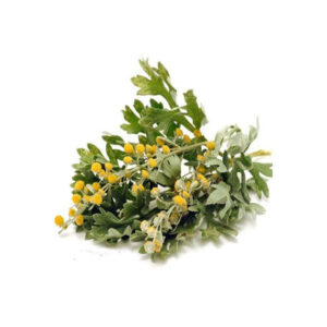Getrocknetes Wermut (Artemisia absinthium) – 600g Premium Bitterkraut