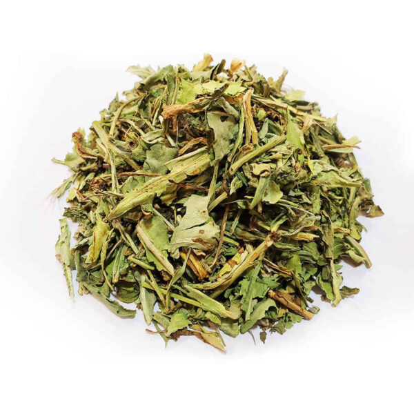 Getrocknete Falcaria-vulgaris-Blätter – 500 g hochwertige Kräutertee-Zutat