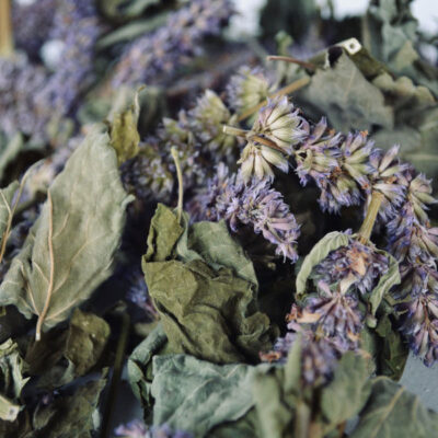 Getrocknetes Ysopkraut (Hyssopus officinalis) – 700 g hochwertiges Aromakraut