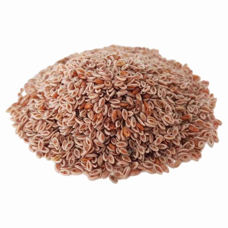 Getrocknete Ispaghula-Samen (Psyllium) – 600 Gramm
