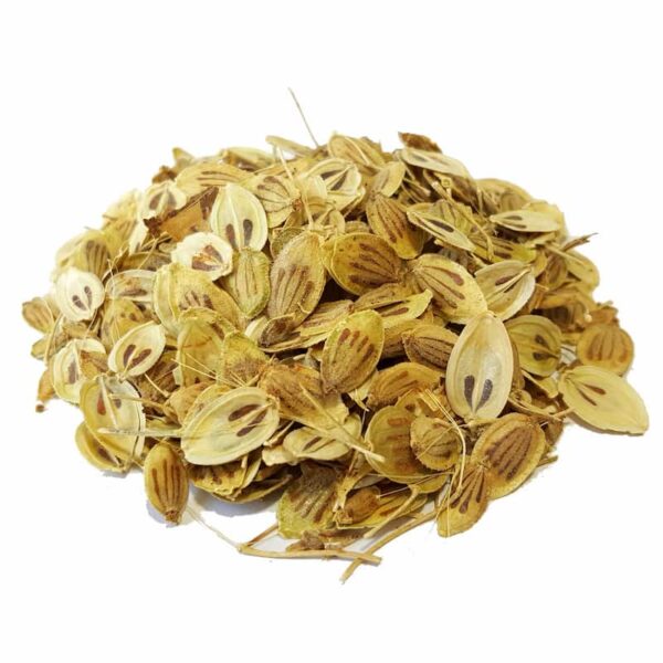 Golpar: Getrocknete Engelwurzsamen / Persischer Bärenklau 800g – Aromatisches Kochgewürz