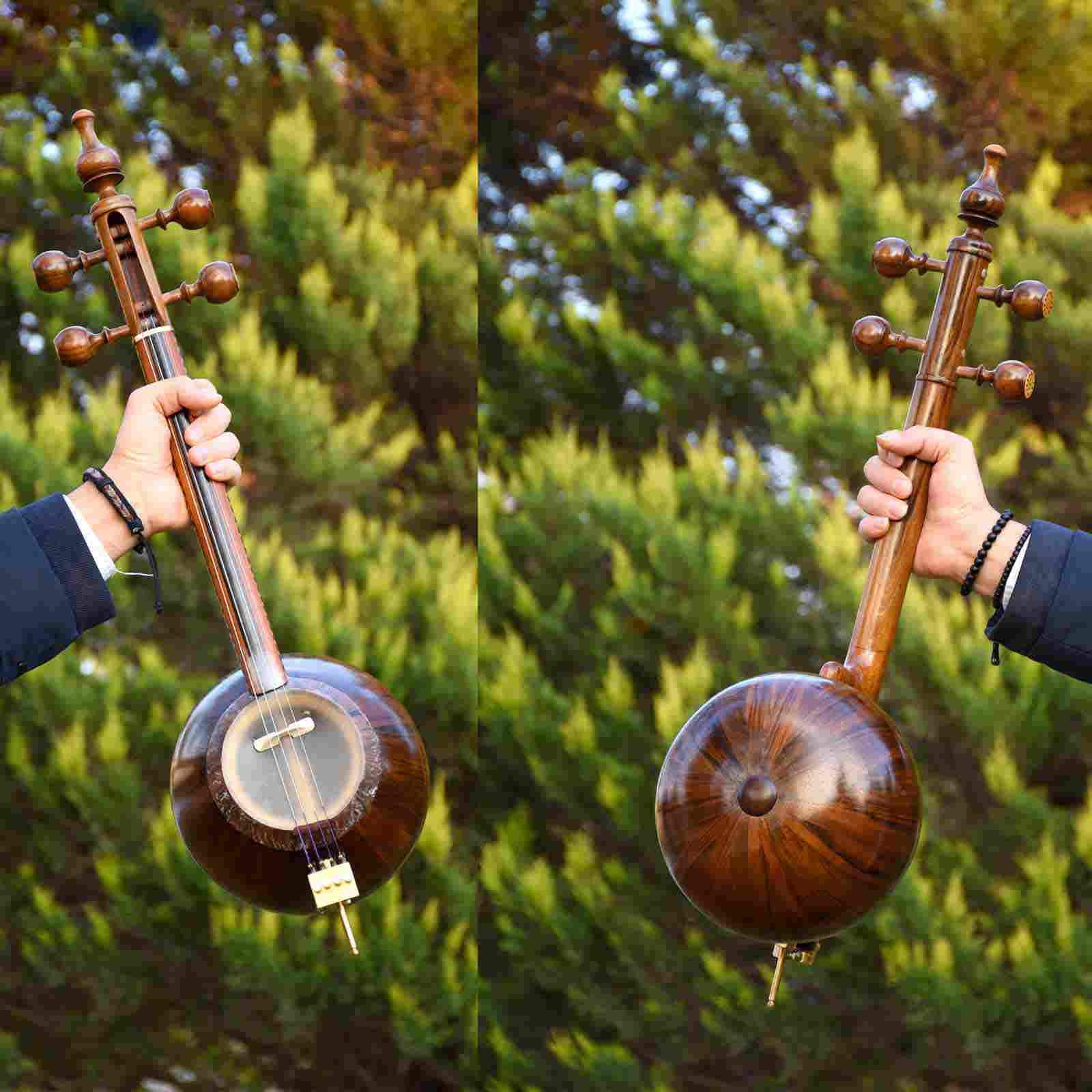 Persische Kamancheh von Bajalavand – Modell 20Tar