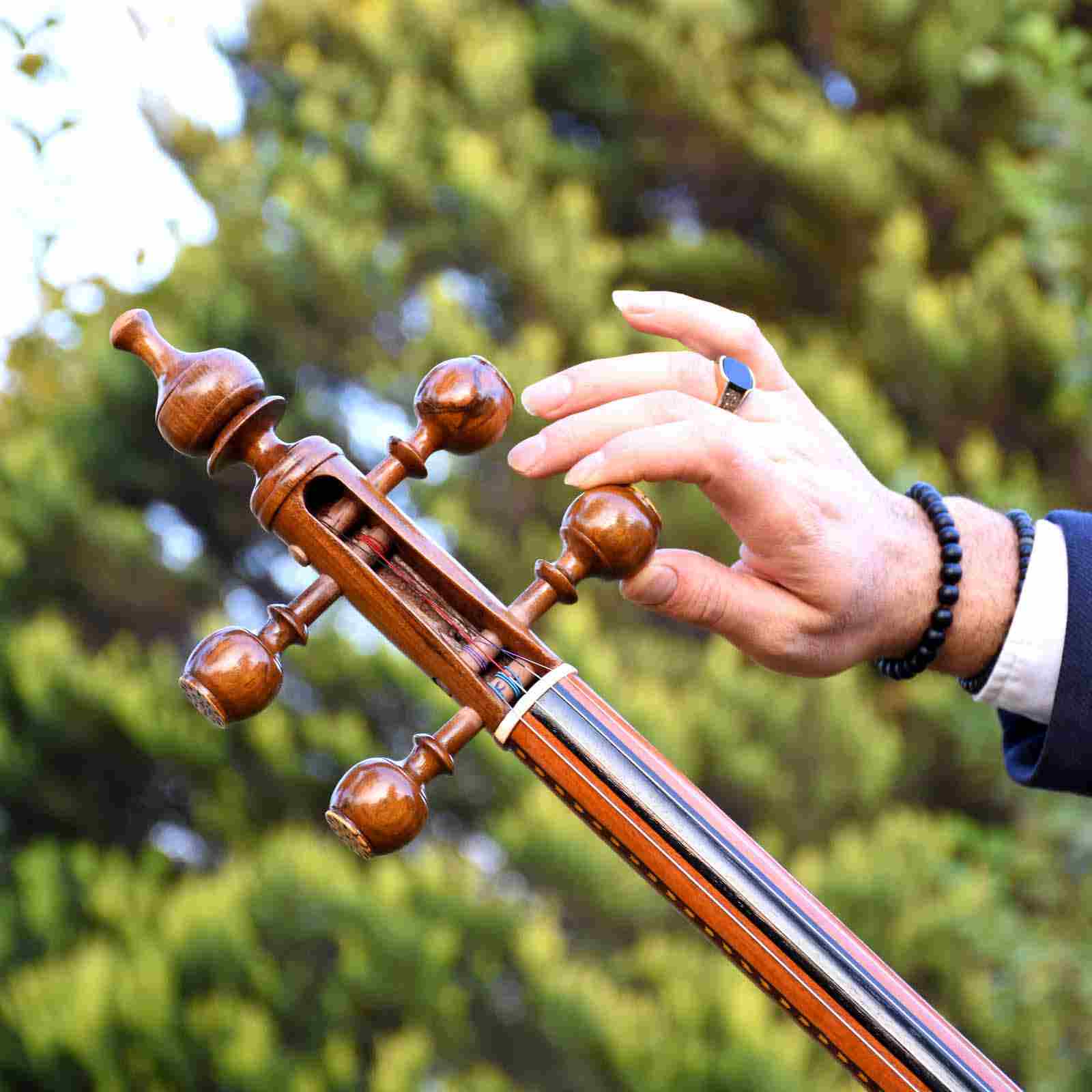 Persische Kamancheh von Bajalavand – 80Tar Modell