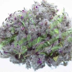 Getrocknete Stachys lavandulifolia Chaye-e-Kohi 750 Gramm