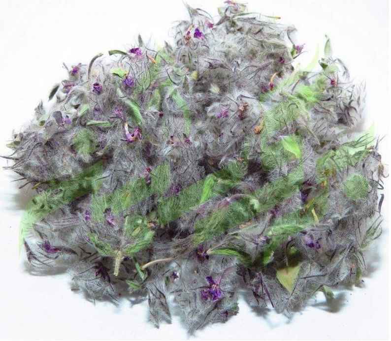 Getrocknete Stachys lavandulifolia Chaye-e-Kohi 750 Gramm
