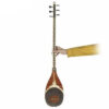 Persisches Shurangiz Avayeh Molana Saiteninstrument – Modell Shayan