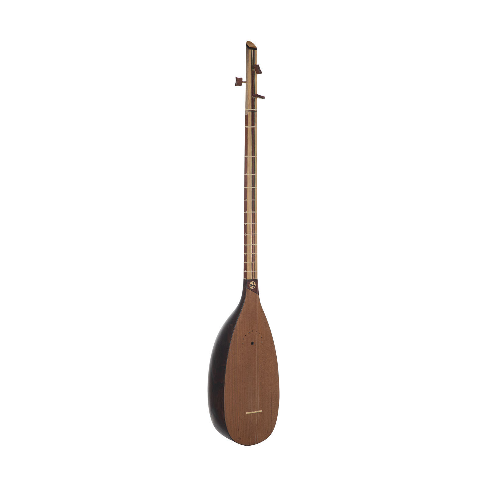 Persisches Tanbur Instrument von Molana Zahed