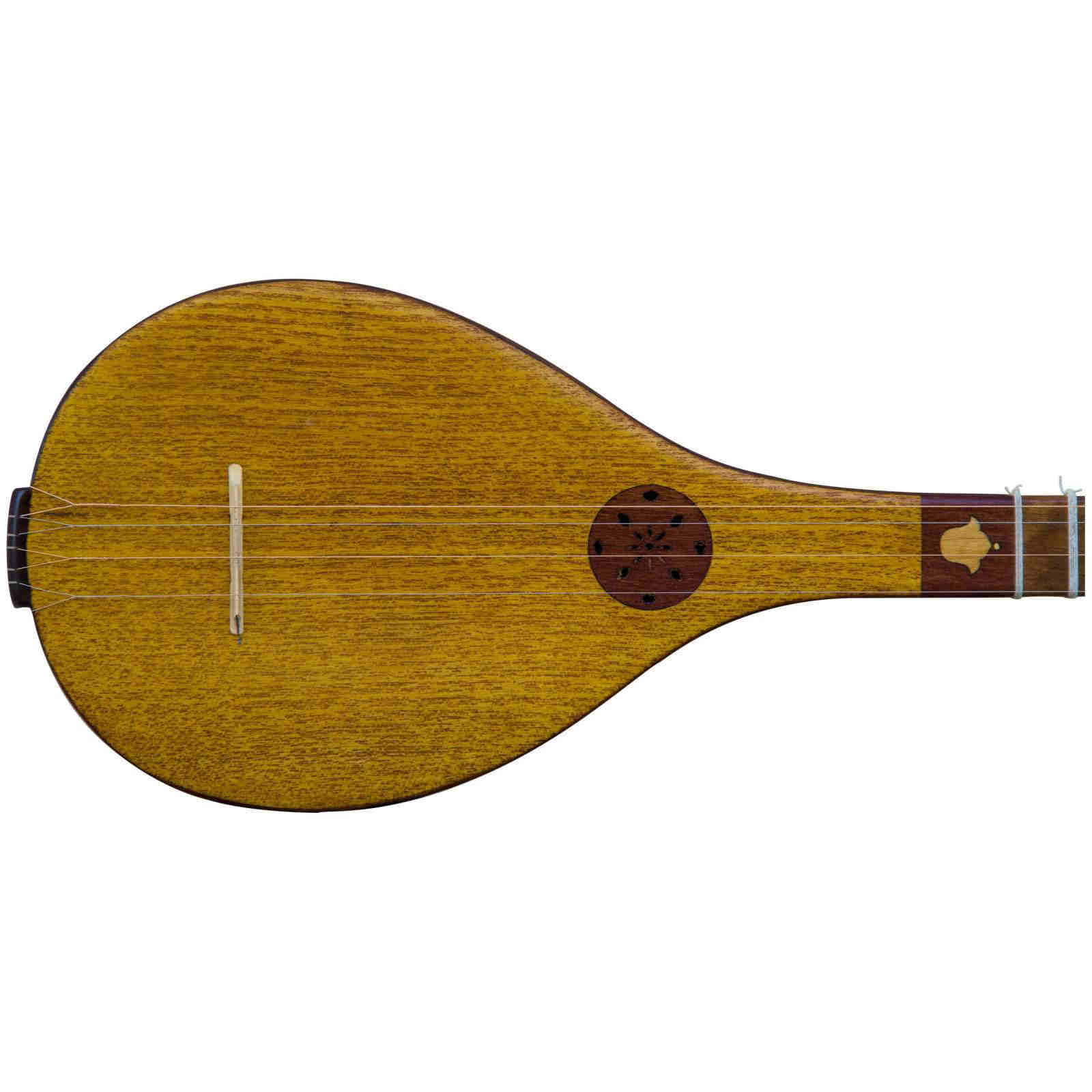 Professioneller Persischer Setar – Handgefertigt von Malekshahi, Modell VIP