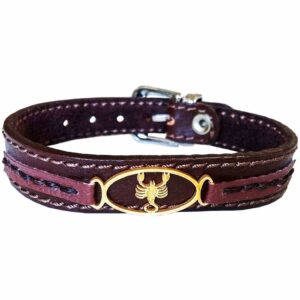 Persisches Lederarmband für Männer und Frauen – Aban-Symbol