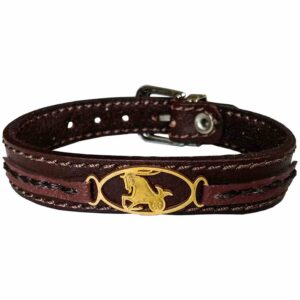 Persisches Lederarmband für Männer und Frauen – Dey-Symbol
