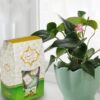 Mozaffari Gaz mit Pistazien - Traditionelles persisches Rosenwasser-Nougat (3x Pack)