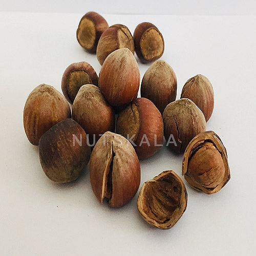 Ganze Rohe Persische WalNüsse – 900 Gramm