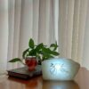 Persische Glow-Salzklemme - Handgefertigt mit Sama-Tanz-Design