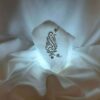 Persische Glow-Salzklemme - Handgefertigt mit künstlerischem Design