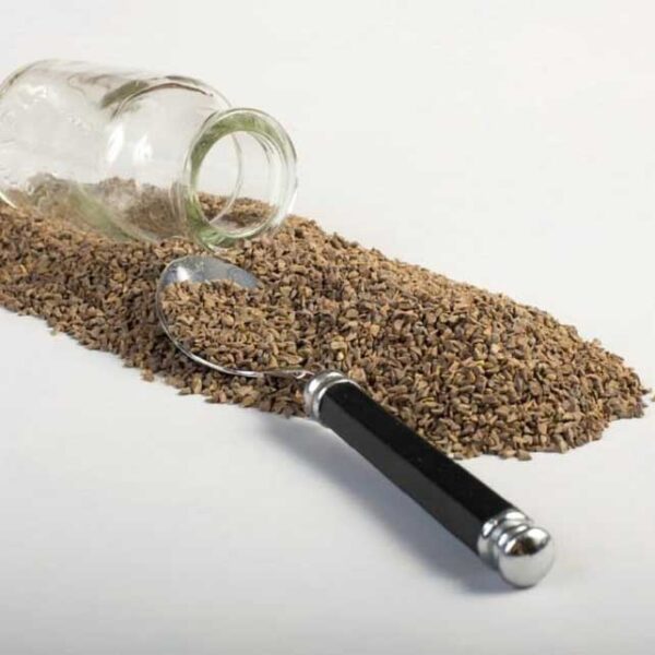 Peganum Harmala Samen (Steppenraute) – 600 Gramm