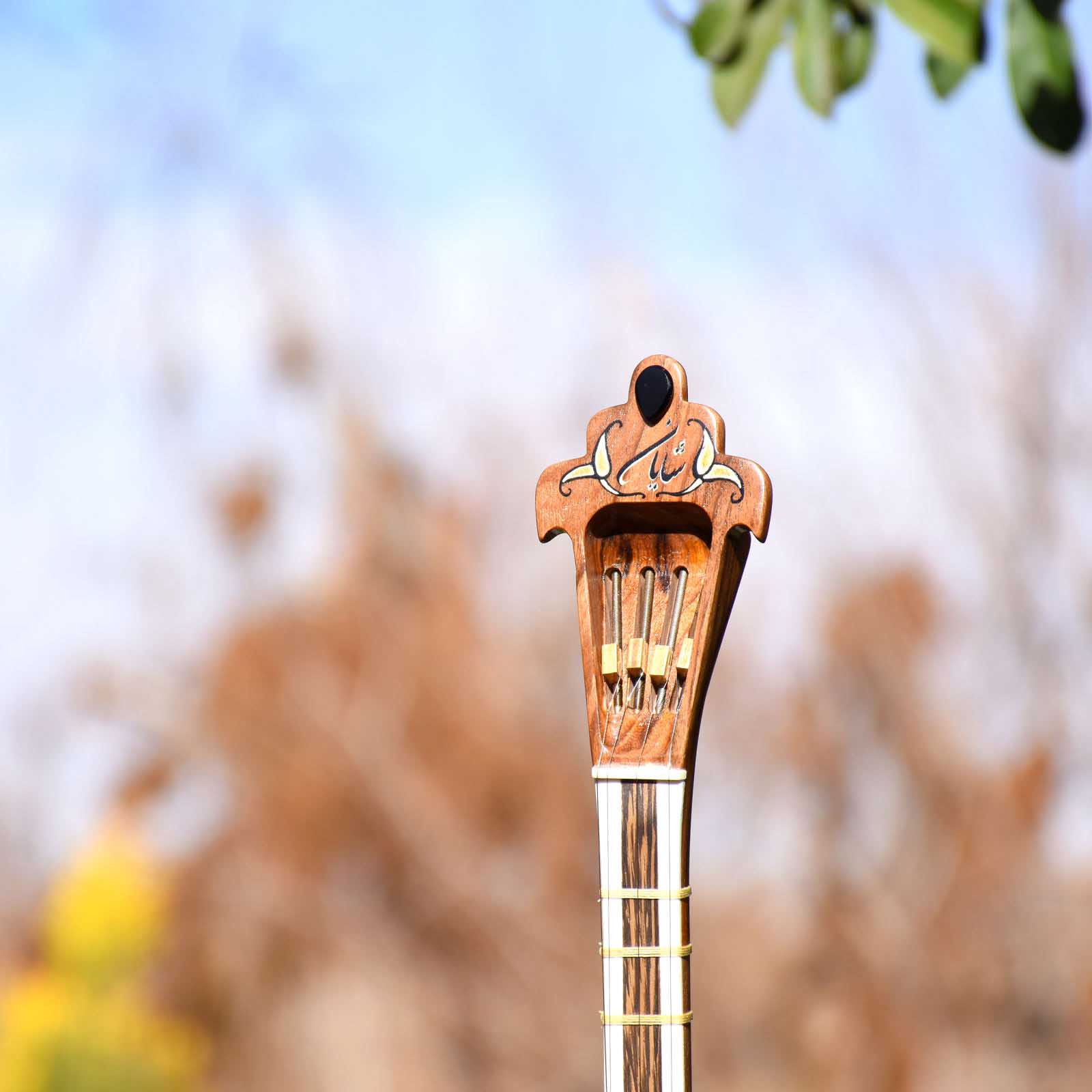 Persischer Setar – Handgefertigtes Saiteninstrument von Iransaz, Modell Shayan
