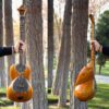 Persisches Tar Saiteninstrument – Handgefertigt von IranSaz, Modell Sepehr