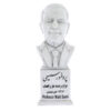 Majid Samii Büste Statue Iranischer Neurochirurg