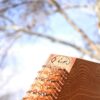 Persische Santur – Handgefertigte Hammered Dulcimer von IranSaz, Surena