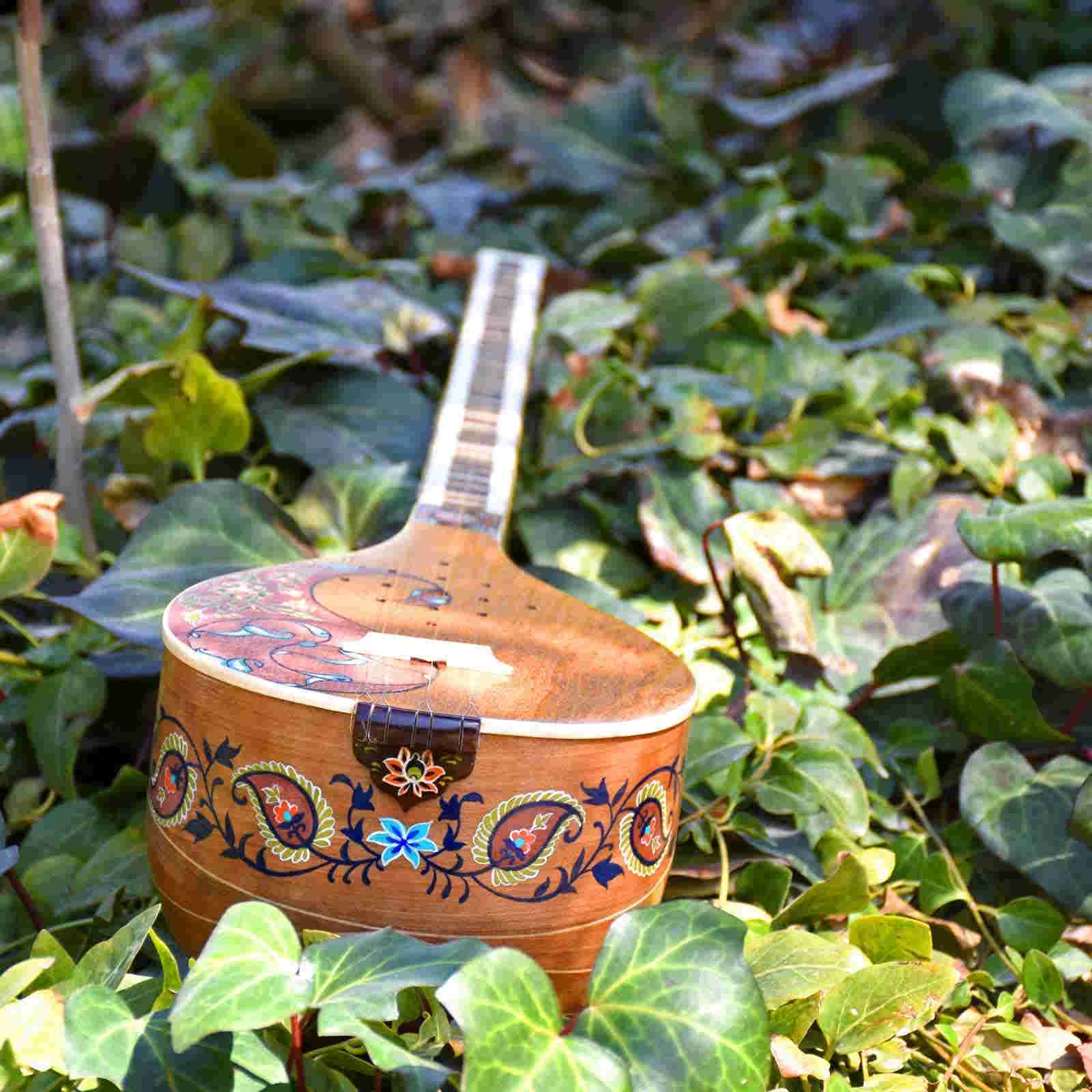 Persischer Setar – Handgefertigtes Saiteninstrument von Iransaz, Modell Tarnam