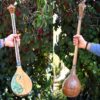 Persische Setar-Saiteninstrument - Handgefertigt von Iransaz, Modell Yas