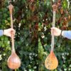 Persische Setar-Saiteninstrument - Handgefertigt von Iransaz, Modell Homayoun