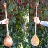 Persische Setar-Saiteninstrument - Handgefertigt von Iransaz, Modell Tarnam