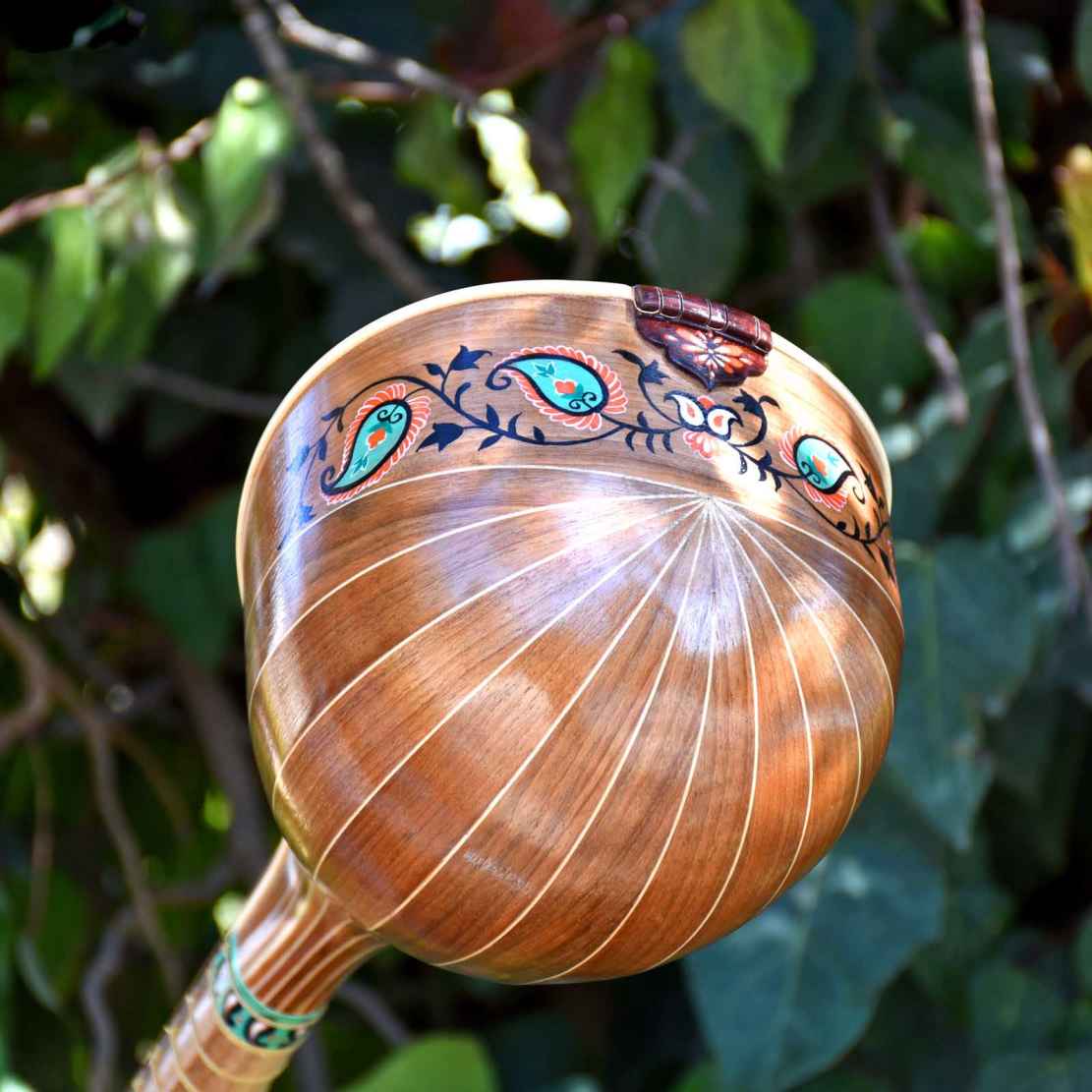 Persischer Setar – Handgefertigtes Saiteninstrument von Iransaz, Modell Yas