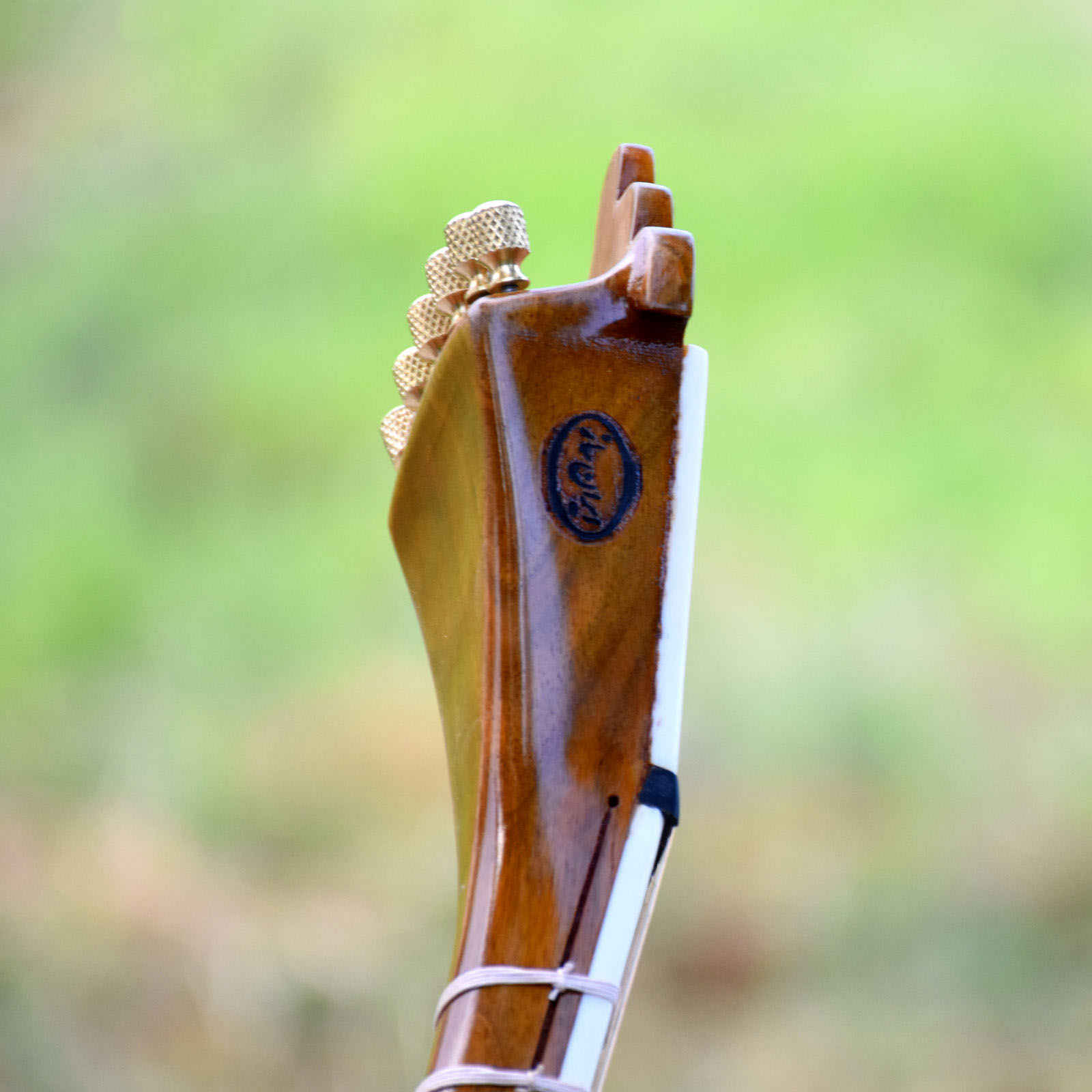 Persisches Tar Saiteninstrument – Handgefertigt von Mahoor