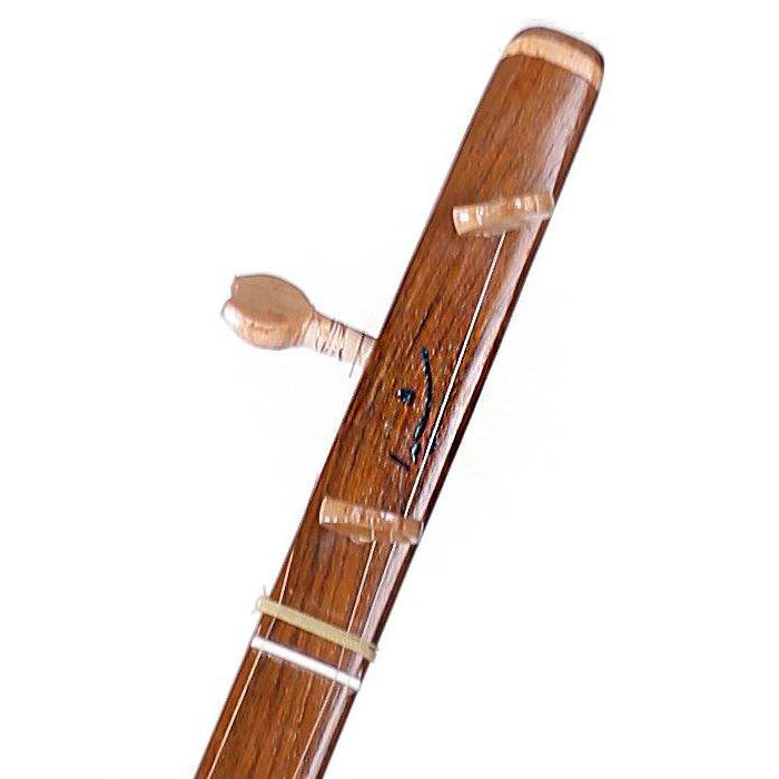 Persisches Tanbur Instrument, Shida