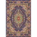 Große Boho-Persische Stil Nafis Indoor-Bodenmatte