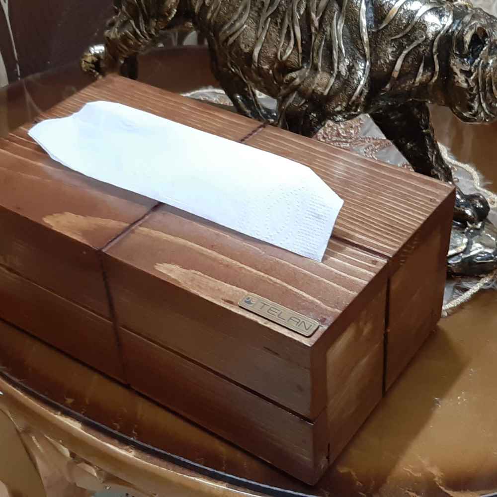 Rustikale Holz-Taschentuchbox – Telan