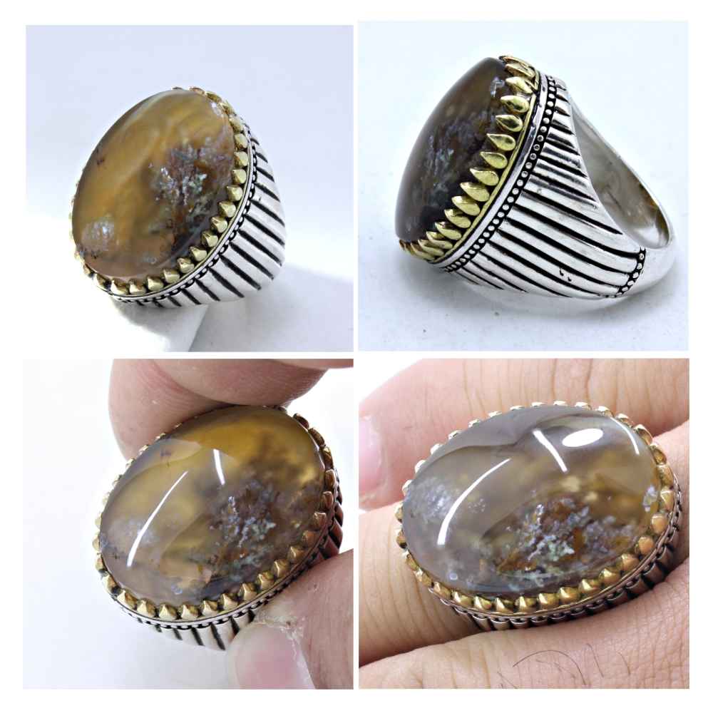 Persischer Dendritischer Achat Shajar Silberring für Männer Farshid